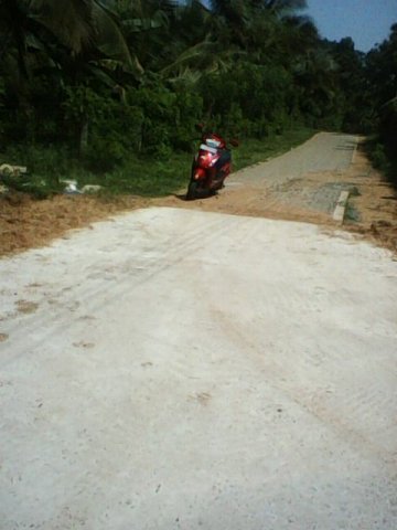 Development Project