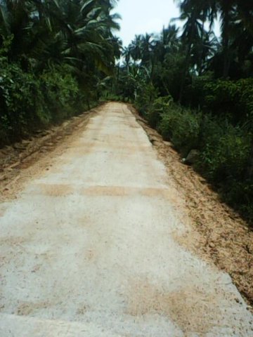 Development Project