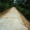 Development Project